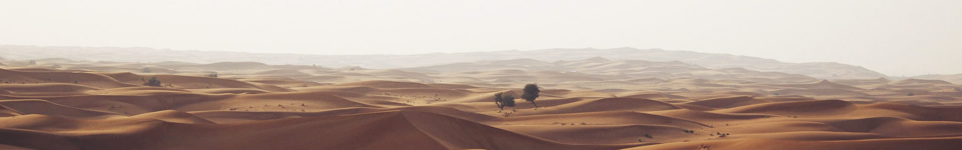 ԴܻƼ޹˾